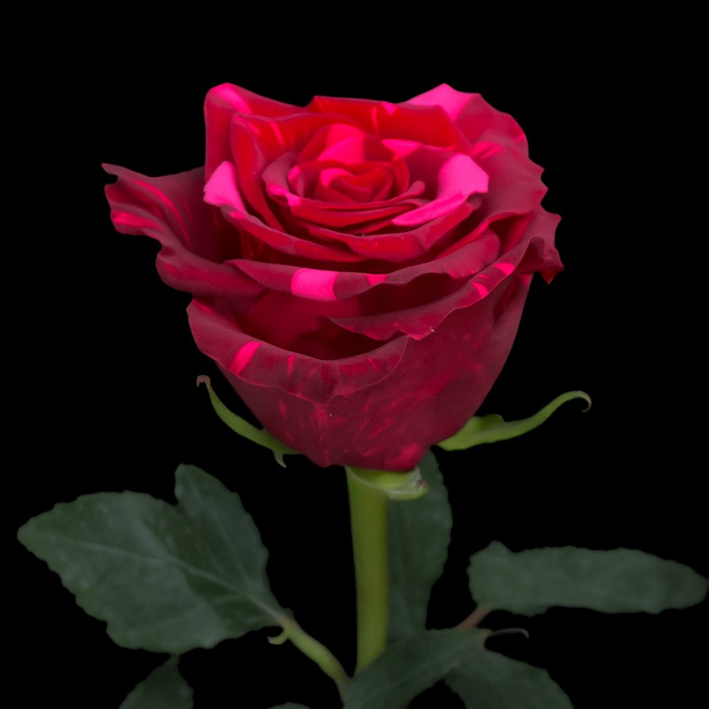 photo 2025 08 18 19 18 20