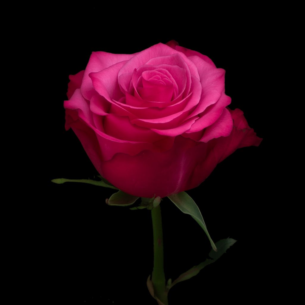 photo 2025 08 18 19 18 21 2