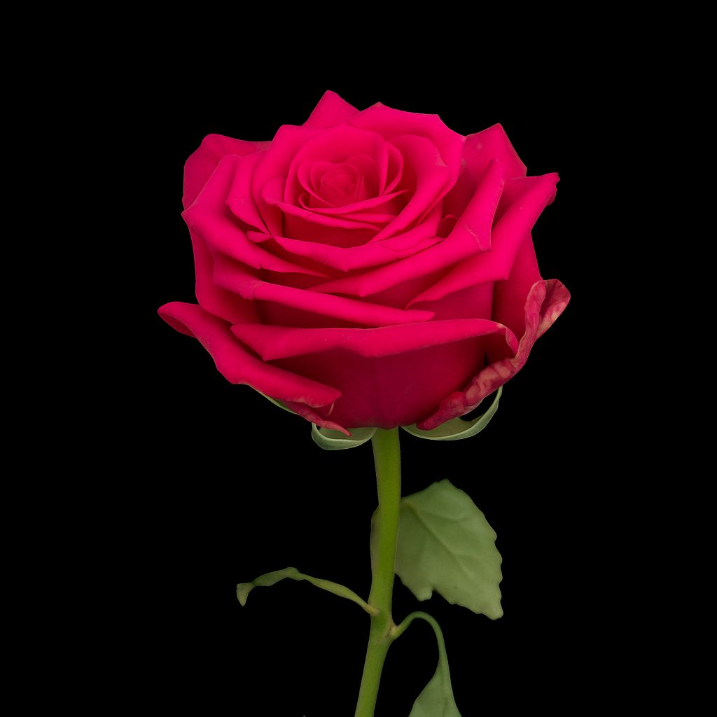 photo 2025 08 18 19 18 21 4