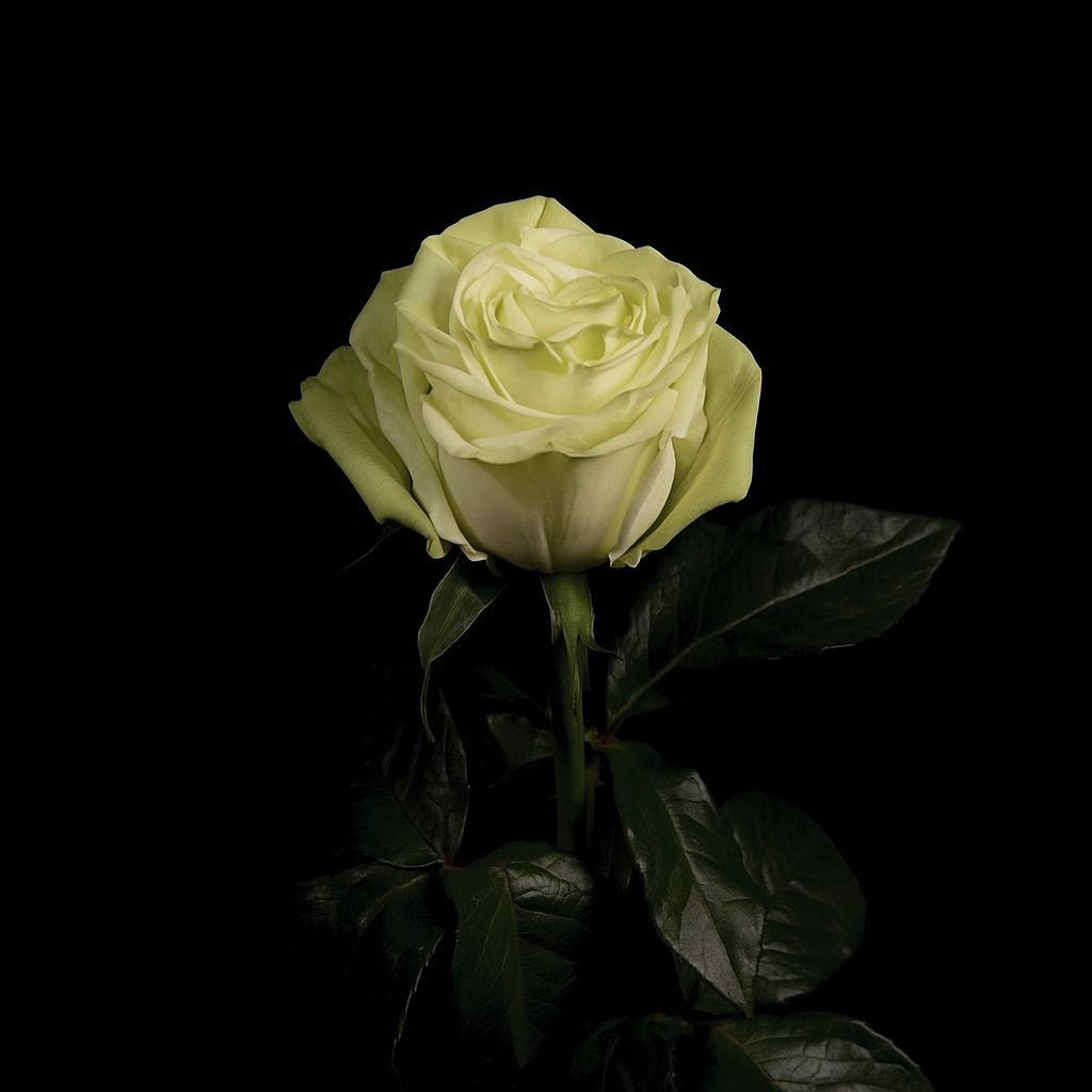 photo 2025 08 18 19 18 21