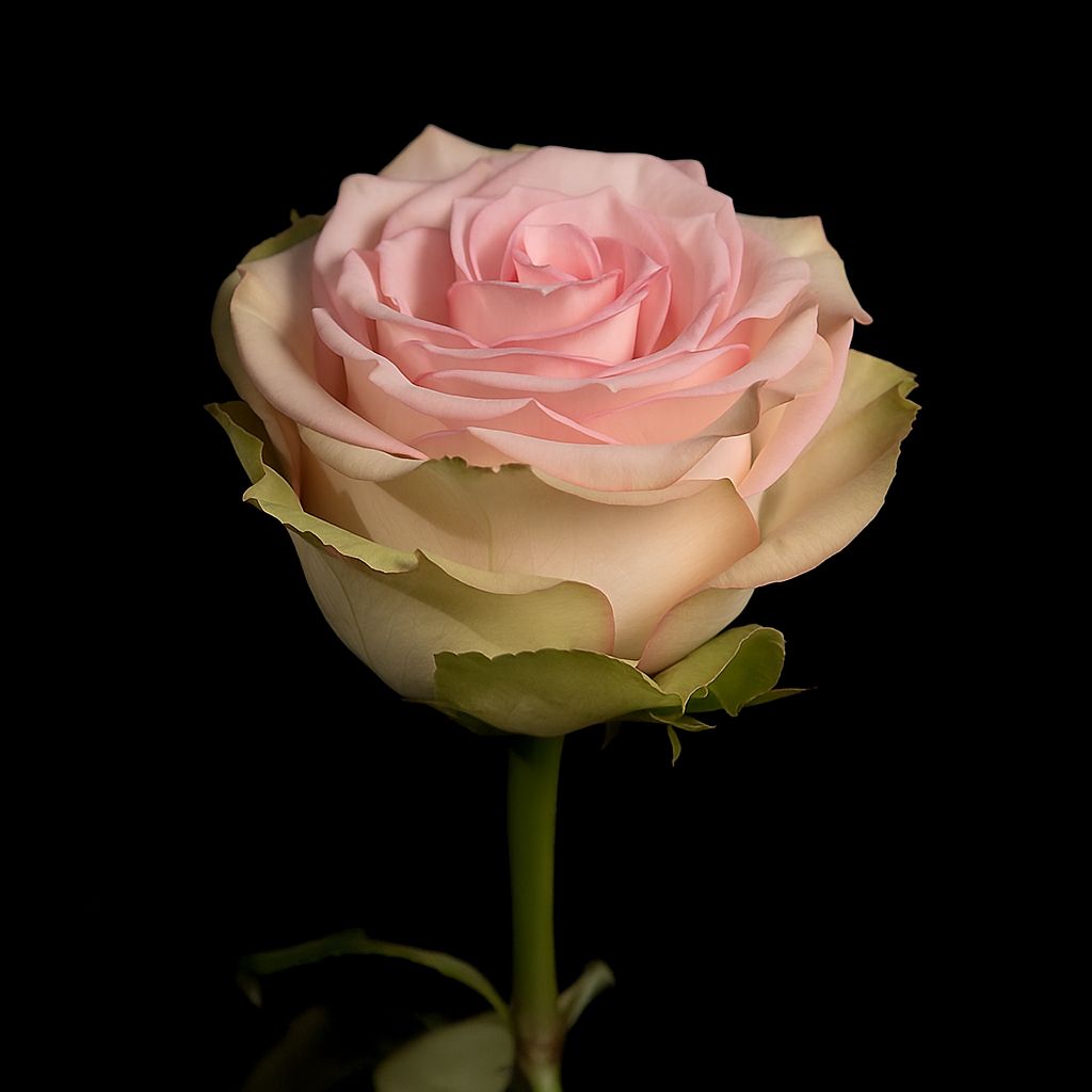 photo 2025 08 18 19 18 22 3