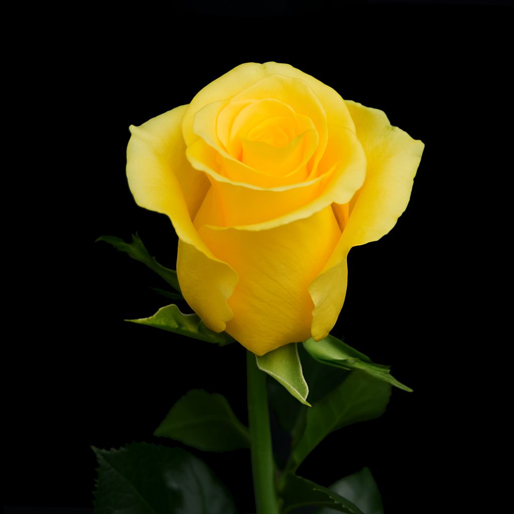 photo 2025 08 18 19 18 22